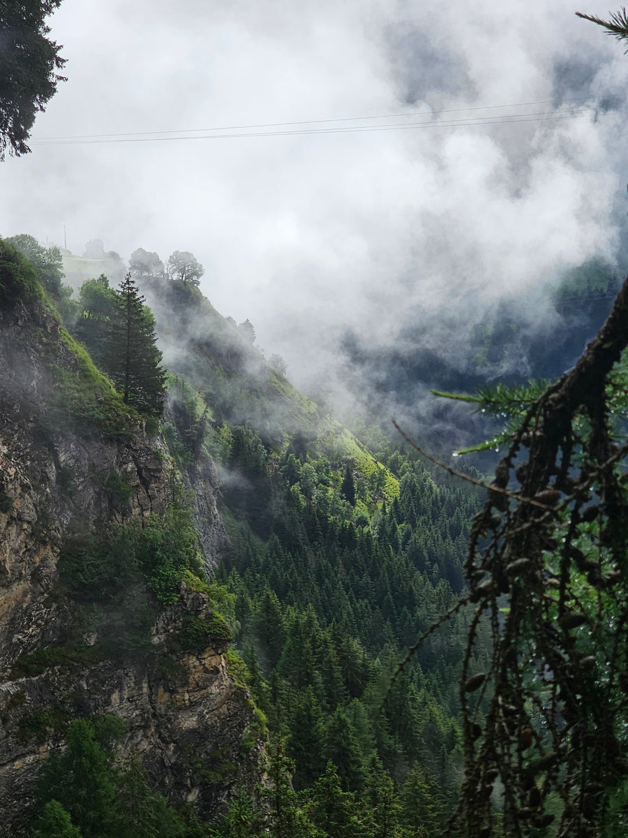 Ausblick über den Schweizer Alpen oberhalb unseres Kristall-Spots.