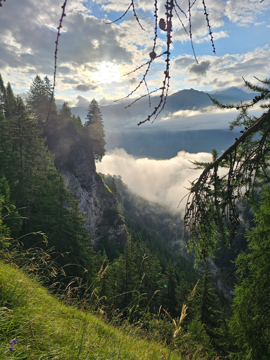 Aussicht oberhalb unseres Kristall-Spots inmitten der Alpenwelt.