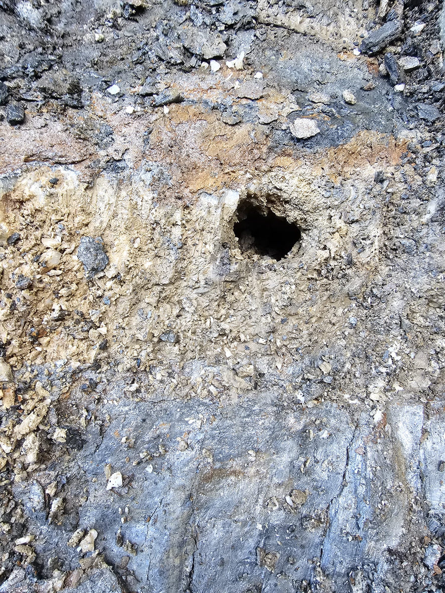 Kluft mitten im Quarzband – verborgen im Gestein der Alpen.