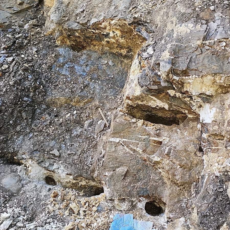 Natürliche Klüfte und Quarzbänder in der Felswand unseres Fundgebiets.